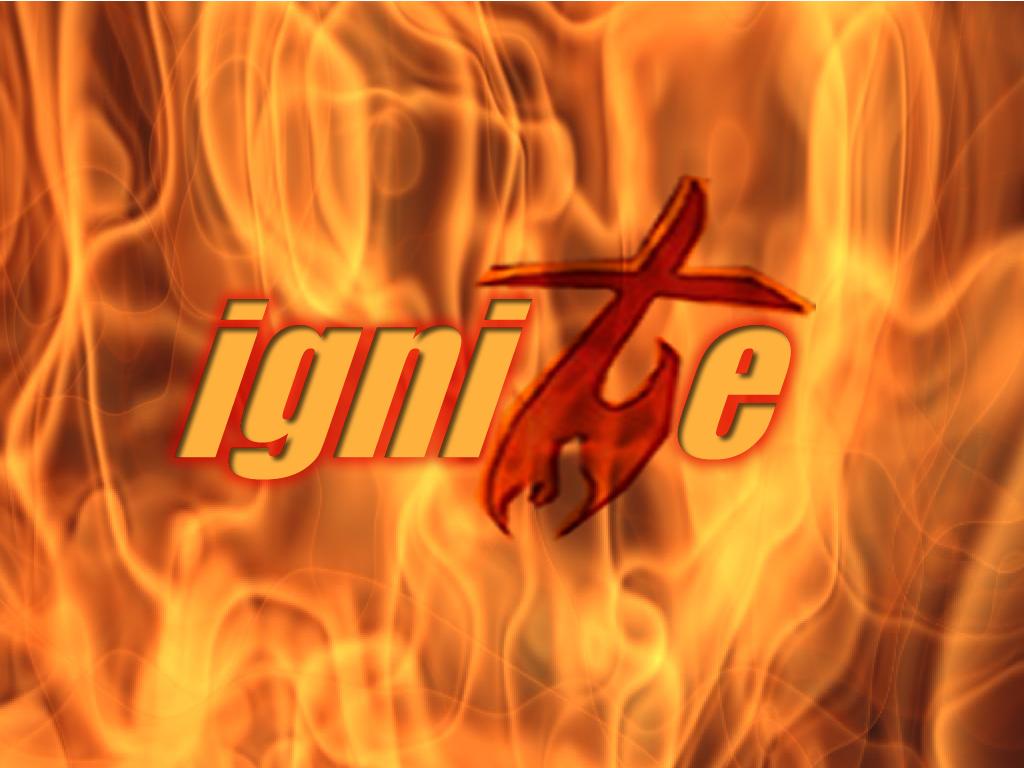 prince ignite 95