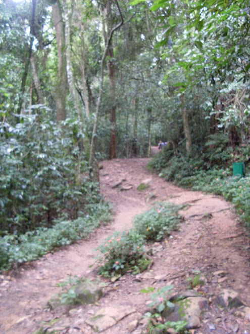 trilhas que se encontram em varios lugares.