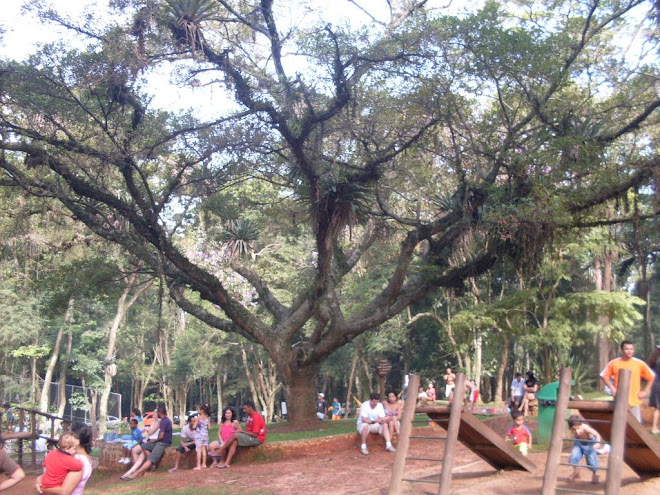 parque com brinquedos