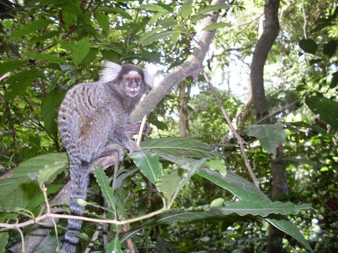 um dos moradores do parque.