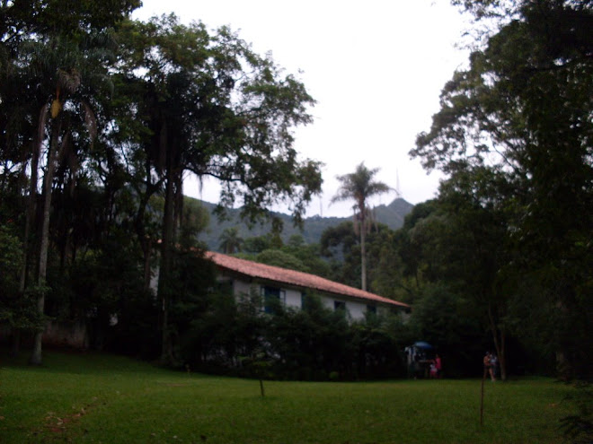 uma casa antiga em meio ao parque.