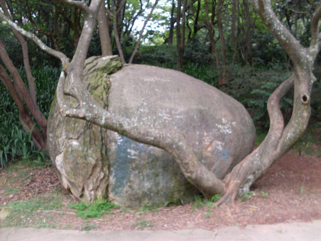 a famosa pedra no parque.