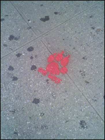 [421929308_1464299350_0.jpeg]