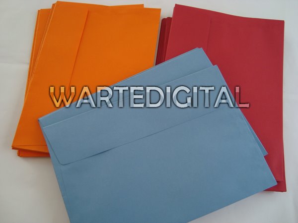 Envelopes Vários Tamanhos e cores