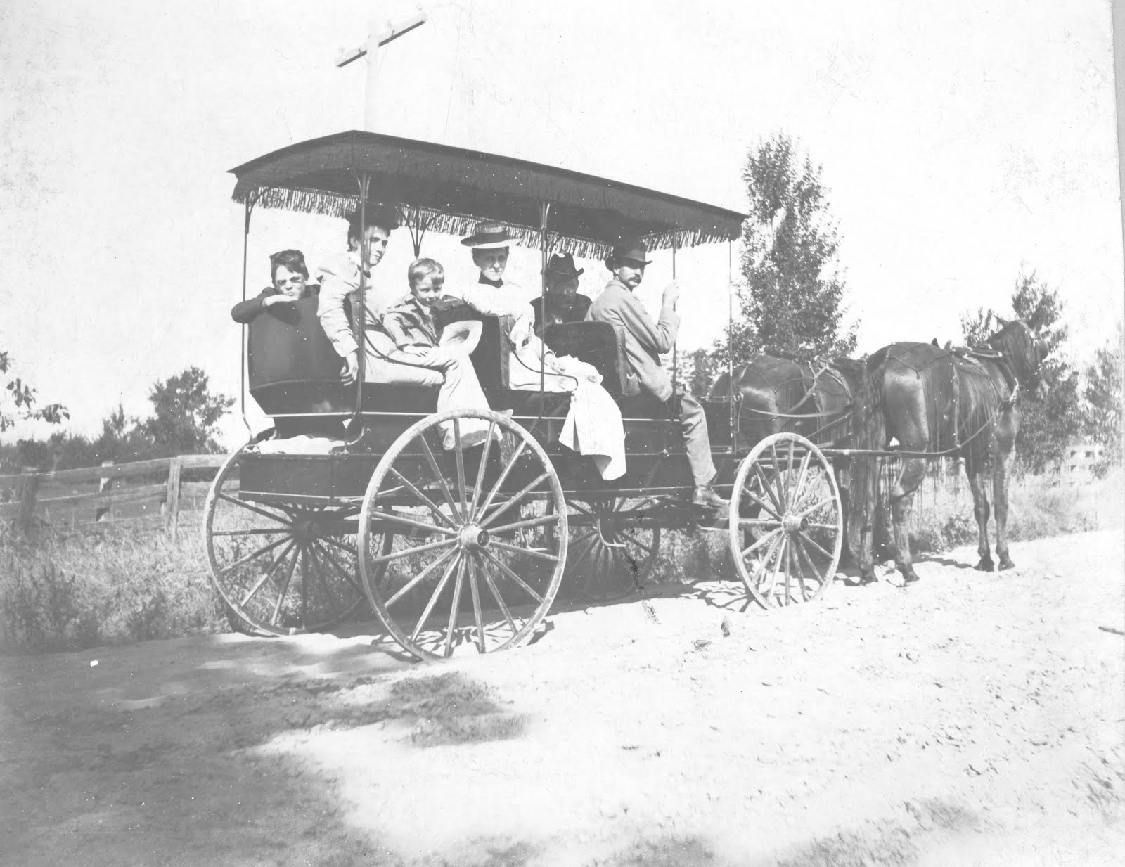 Dusty Diary What's the Difference Between a Wagon and a Carriage?