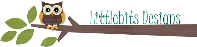 Littlebits Designs