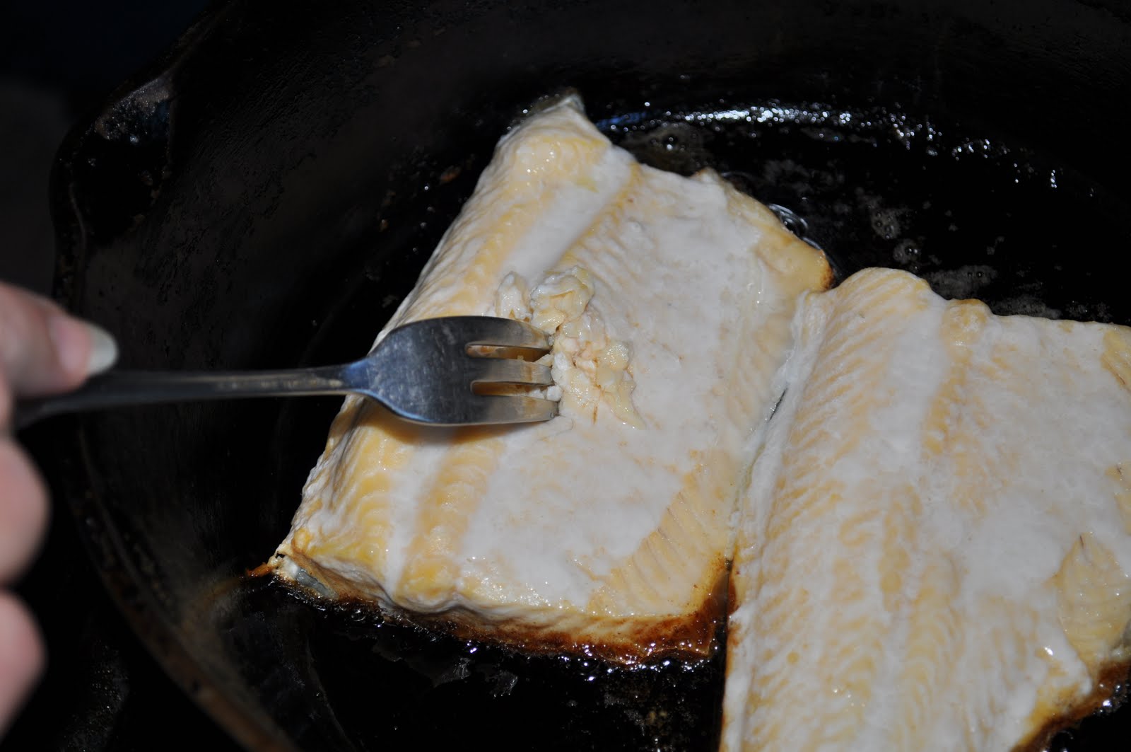 Michigan Cottage Cook LAKE MICHIGAN LAKE TROUT WITH WANDA'S LAKE