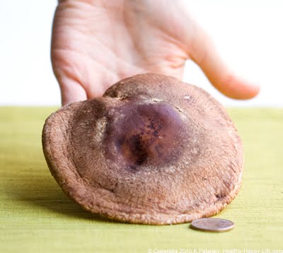 [big-shiitake-mushroom-1.jpg]