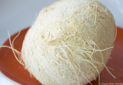 [white-coconut-4005.jpg]