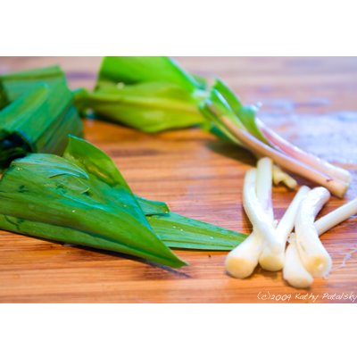 [ramps-400-12.jpg]