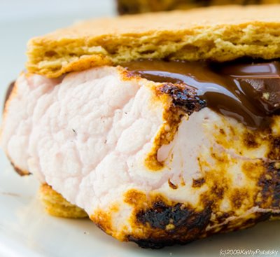 [vegan-campfire-smores-400-3.jpg]