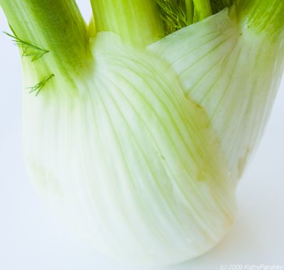 [fennel-400-5.jpg]
