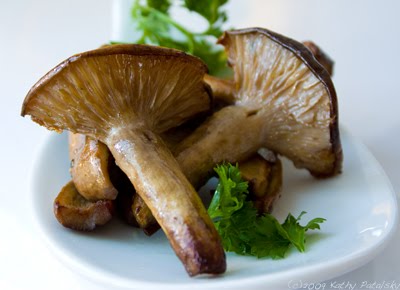 [bluefoot-mushroom-14-400.jpg]