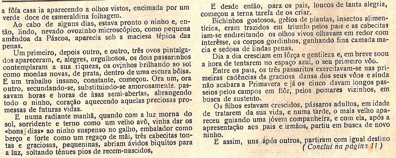 [cfms-sd25111933-3.jpg]