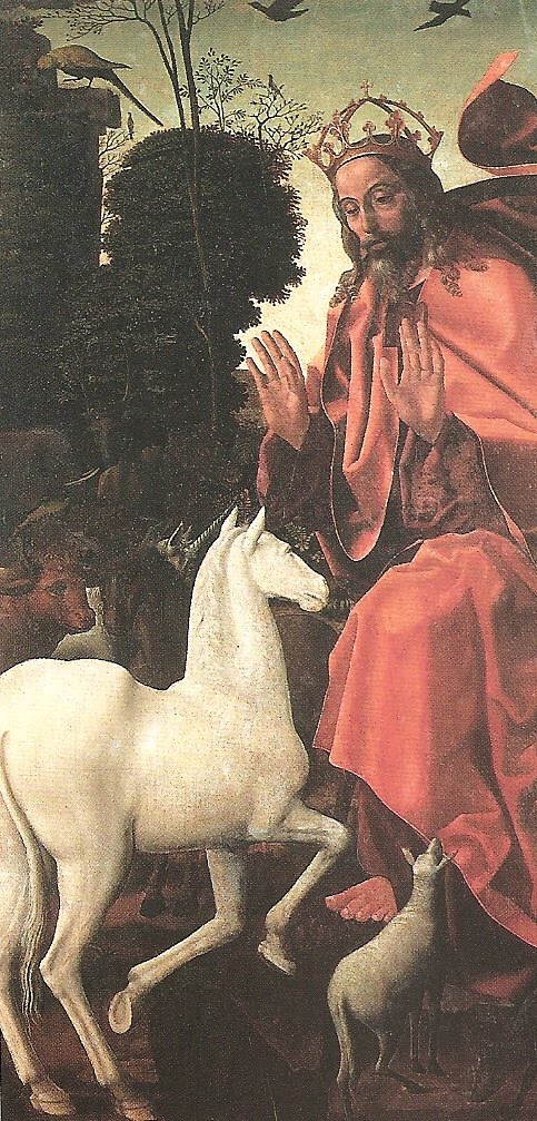 [vascofernandescriacaodosanimaismlamego1506-11.JPG]