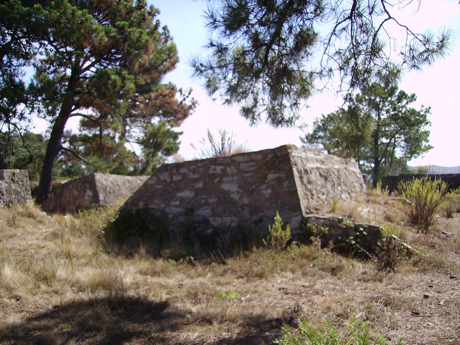 [ForteSaoVicente.JPG]