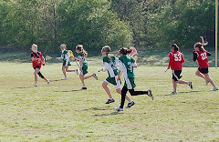 Lacrosse Action