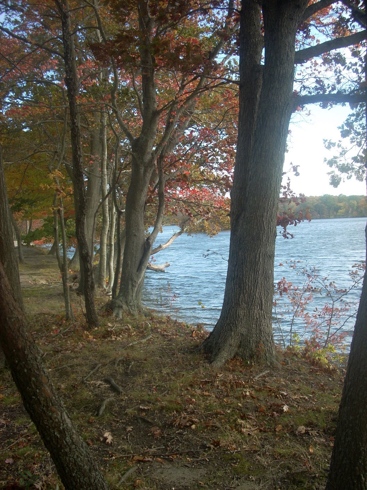 [DSCN1477.jpg]