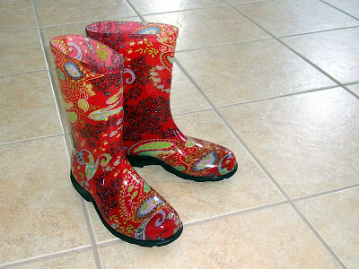 The Witch's new groovy boots.