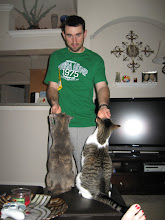 Kitty Love!