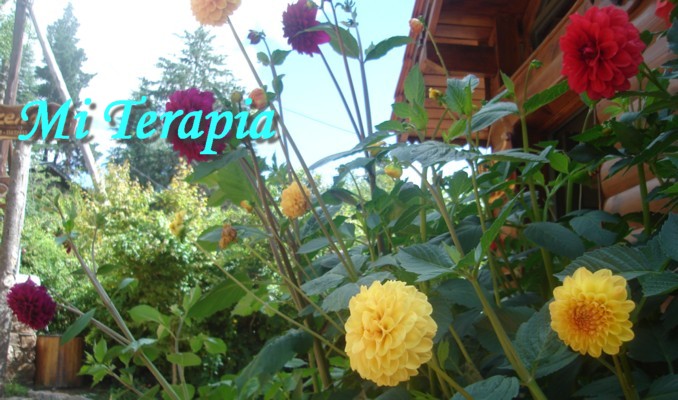 Mi Terapia