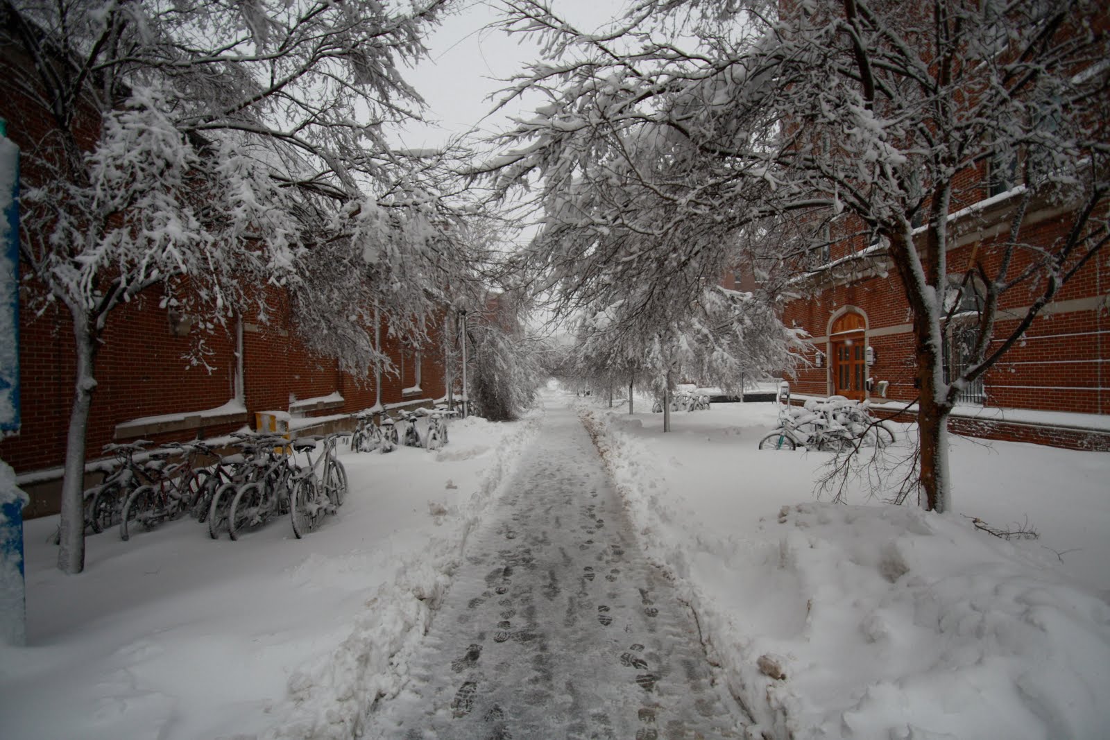 [IMG_5589.JPG]