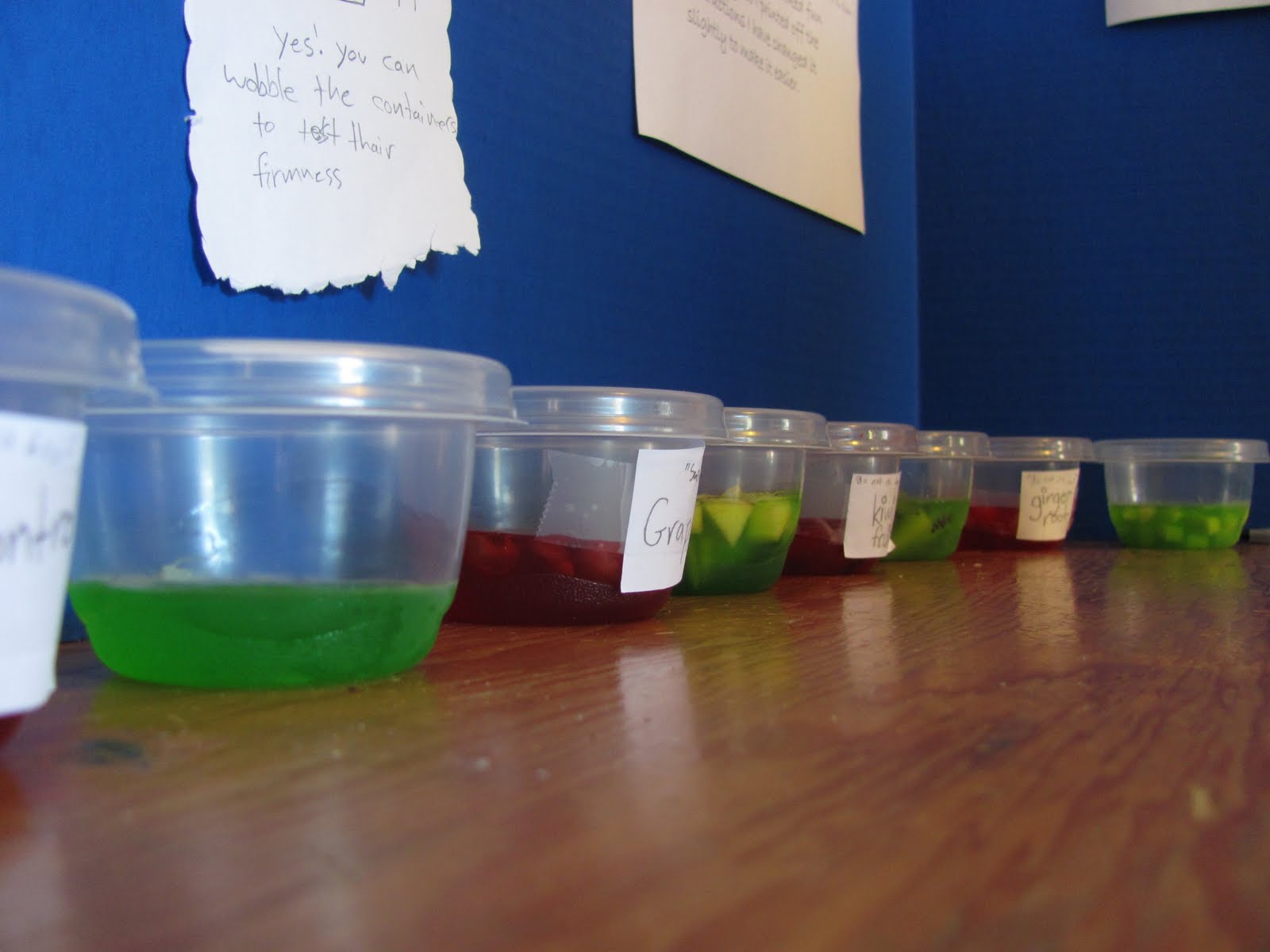 Hiebert Home Learning Hiebert Science Fair