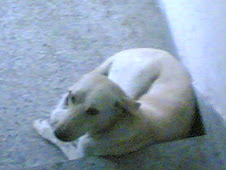 Langra Tyagi