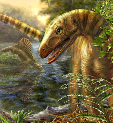 Asilisaurus pan-Aves: 03/09/10