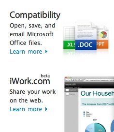 [iworkdotcom+jan2009.jpg]