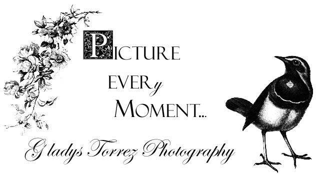 GLADYS TORREZ PHOTOGRAPHY