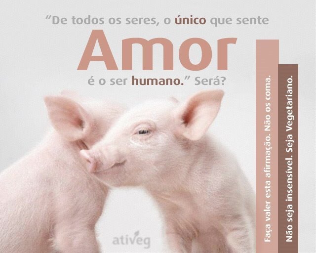 No que você acredita ?