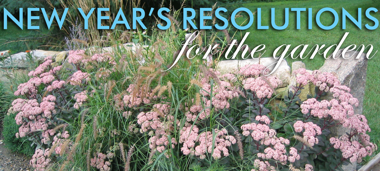 new year garden grounded design by rainer new year s resolutions new year garden grounded design by rainer new year s resolutions