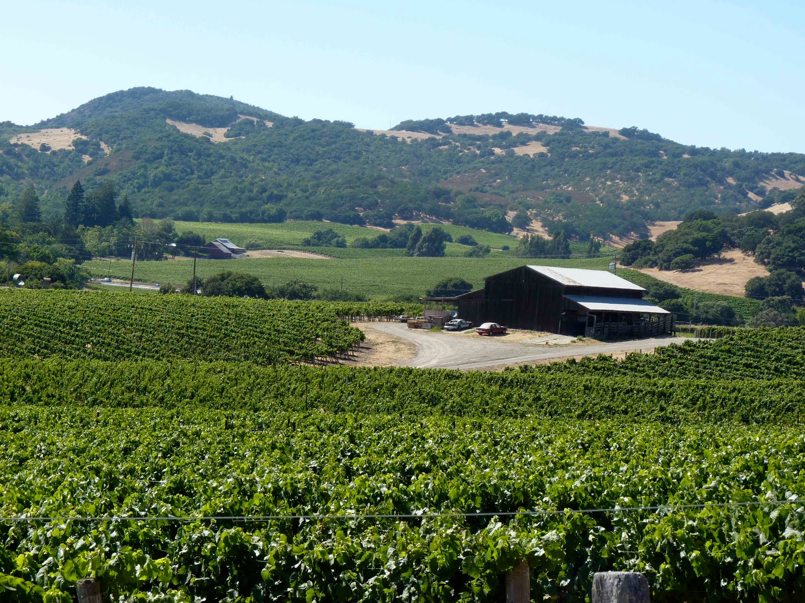 Walking San Francisco Bay: Duhig Rd - Las Amigas to Hwy. 121 - July 28 ...