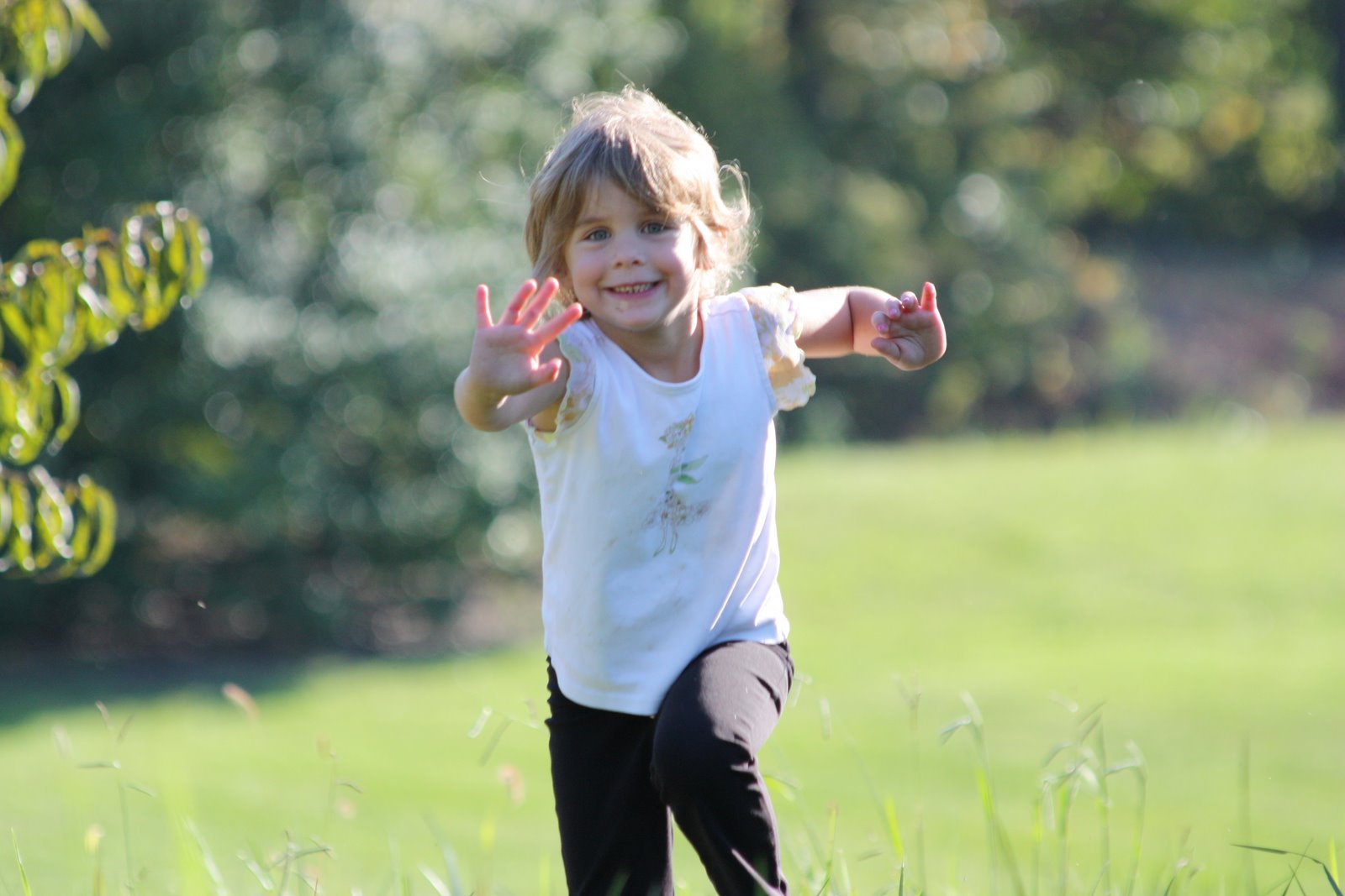 [Apples+and+HP+Lions+Game_100408+012.jpg]