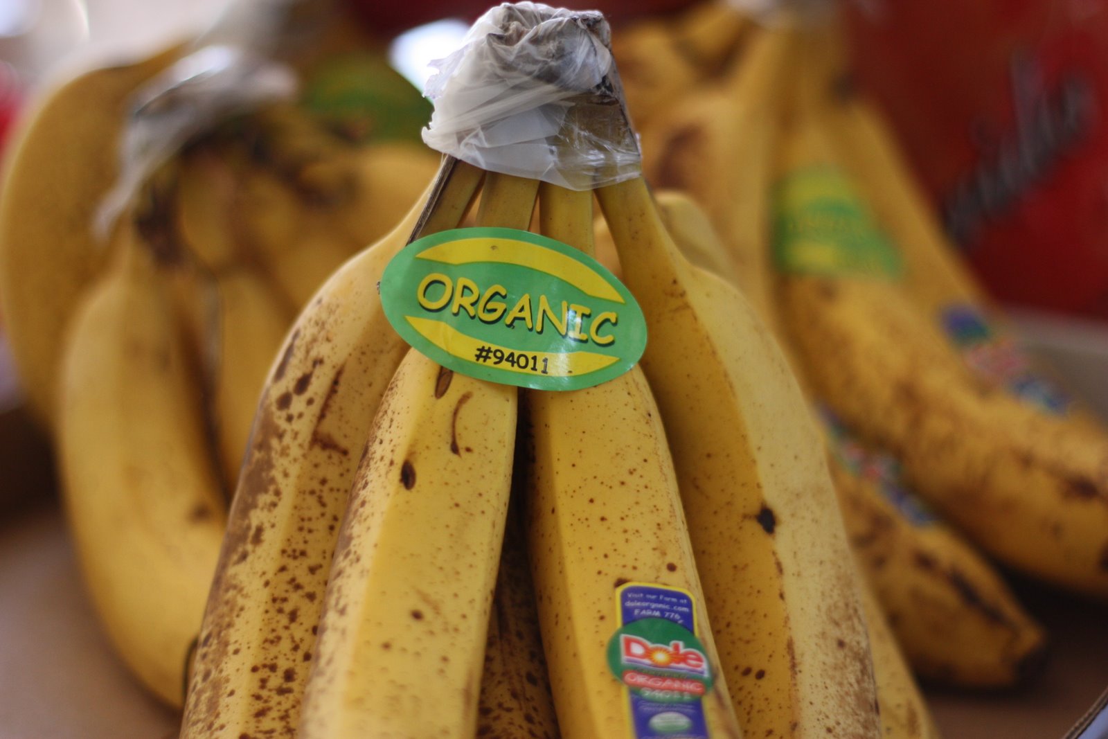 [saving+money+on+produce.JPG]