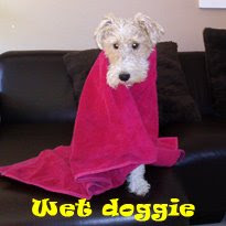 Wet Doggie