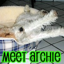 Meet Agatha & Archie