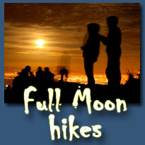 Full Moon Hikes