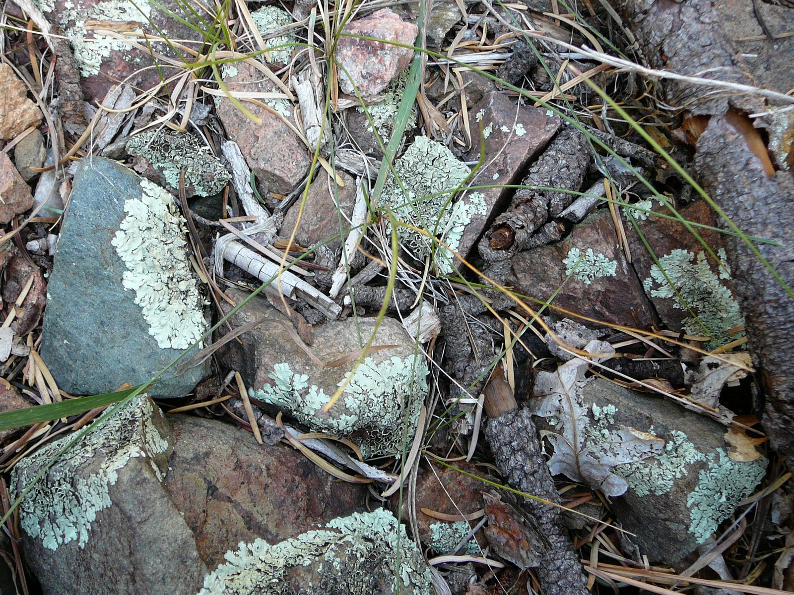[P1020560.JPG]