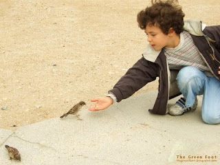 challenge foto ABBILDUNG boy feeding birds