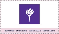 [vsnyulogo.jpg]