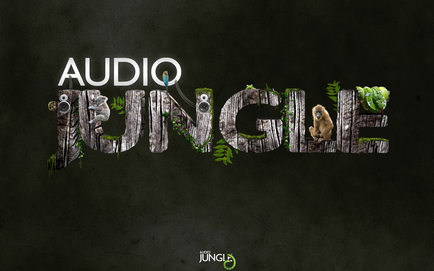 High Definition Photo And Wallpapers wallpapers of jungle,jungle