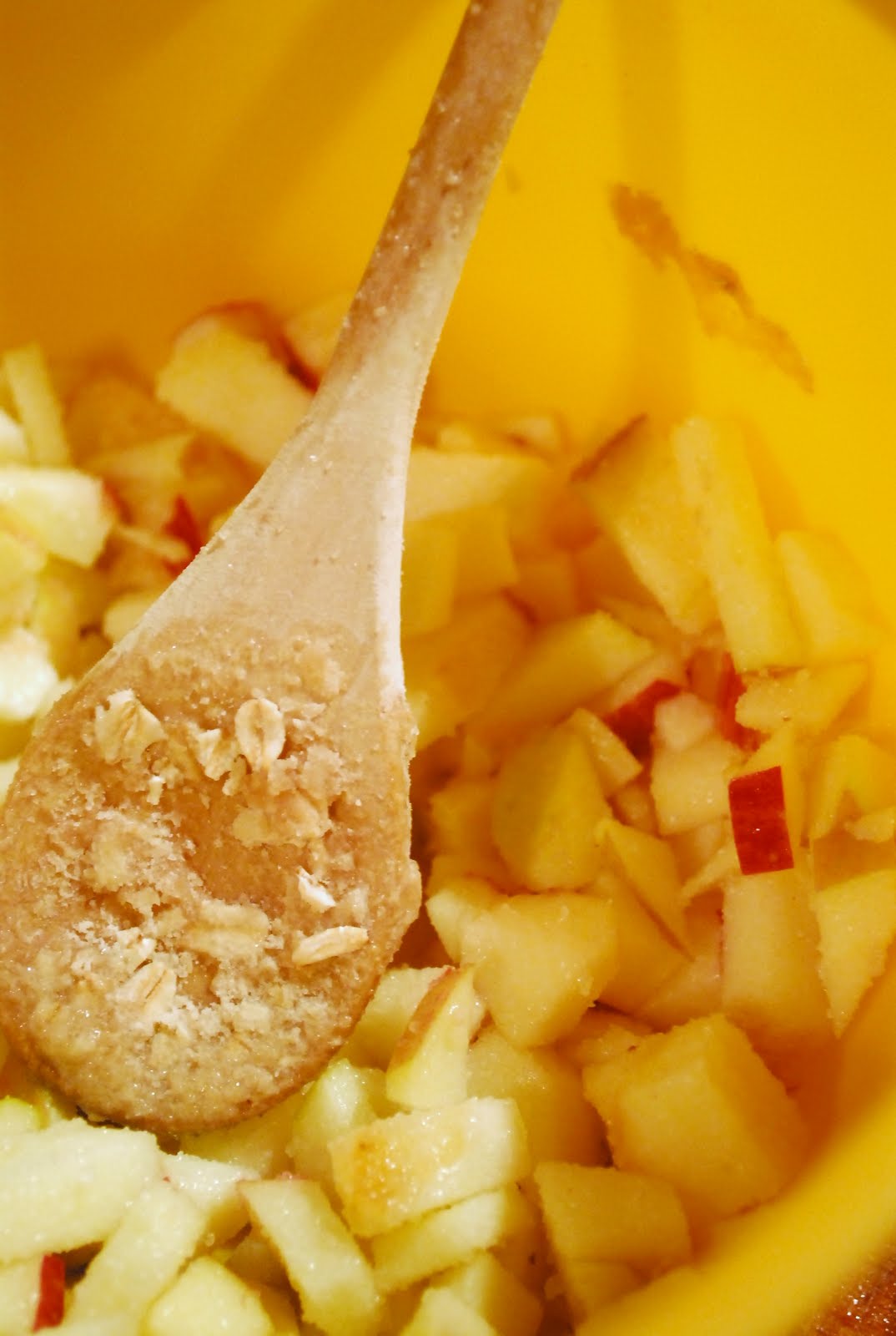 [appleoatmeal+007.JPG]