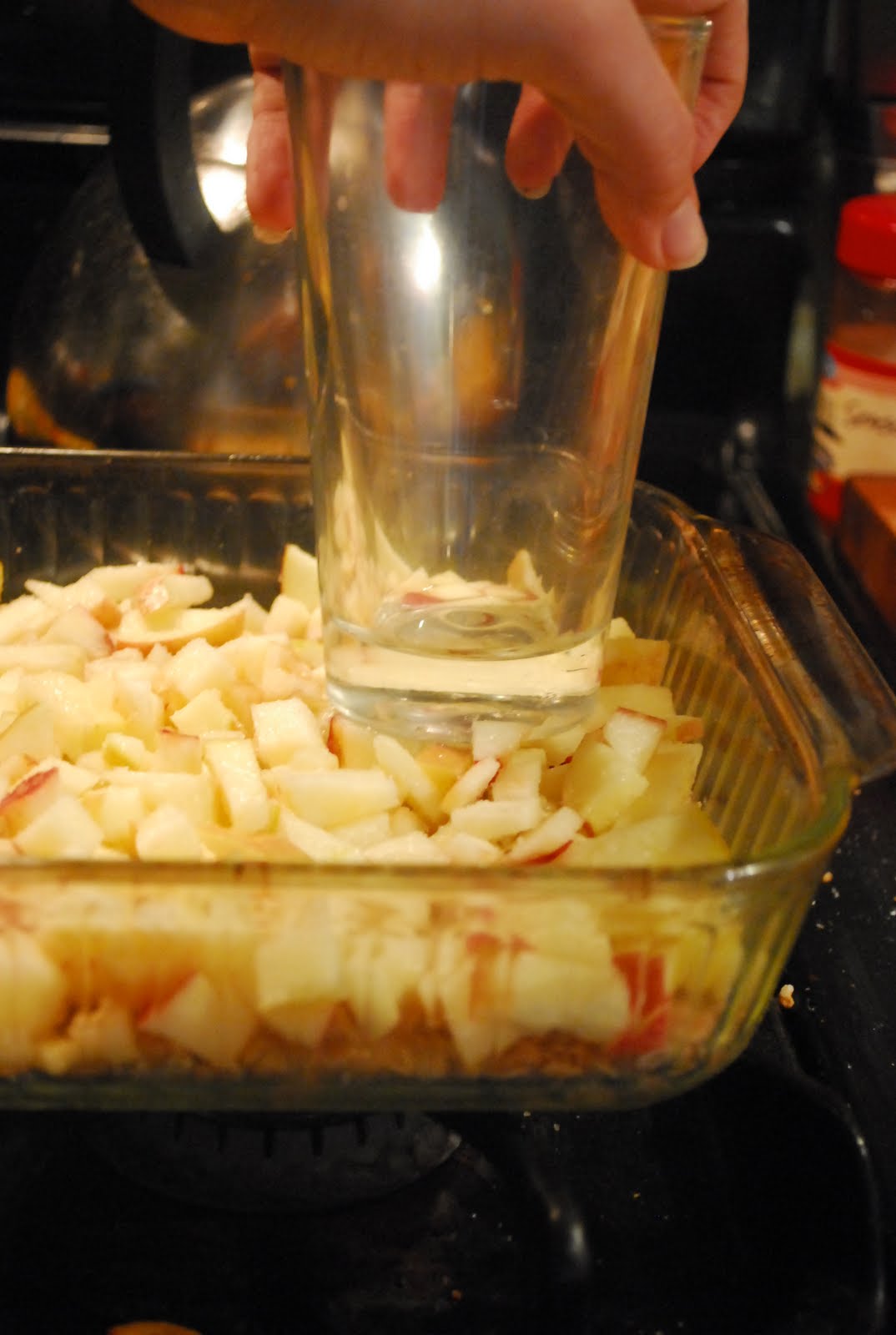 [appleoatmeal+009.JPG]