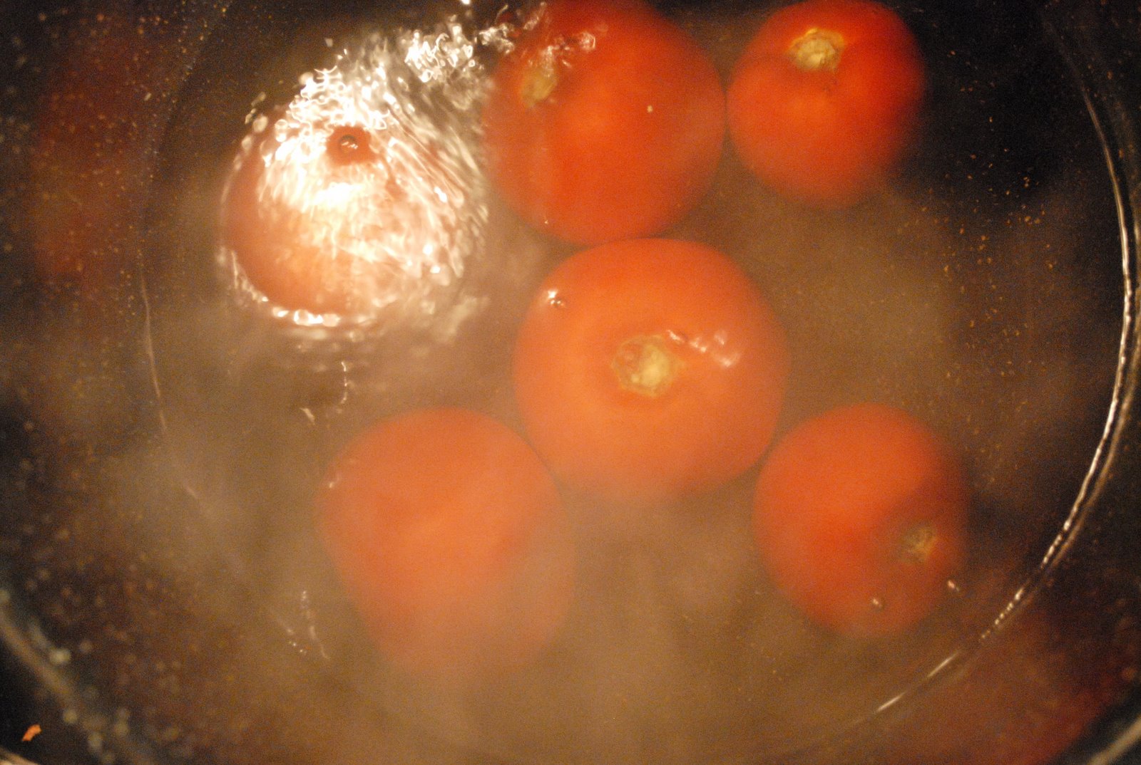 [tomatoes+014.JPG]
