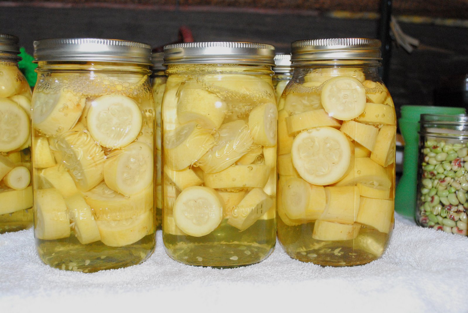 [Gerald+and+canning+210.JPG]