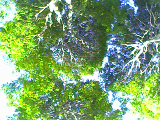 [03-08-09_160407.jpg]