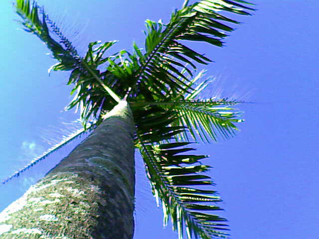 [03-08-09_161304.jpg]