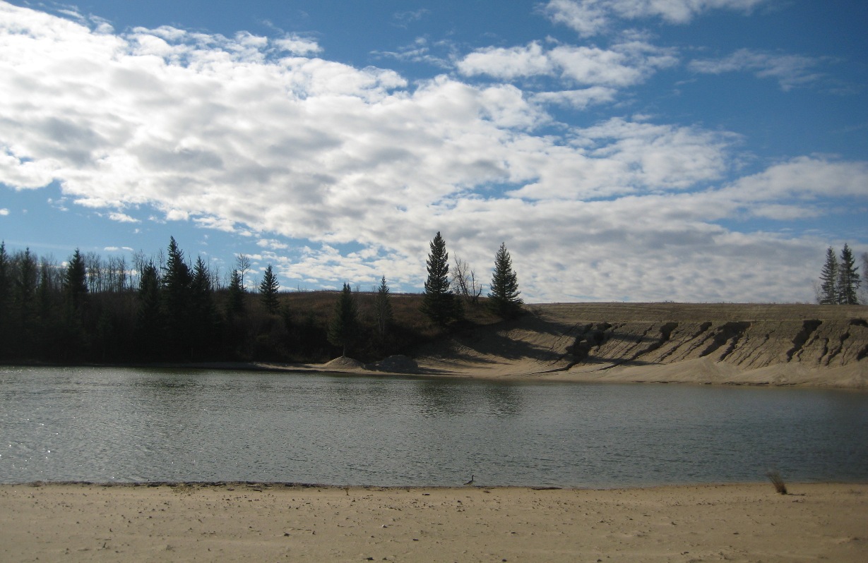 International Appraiser Objective valuation advice on international